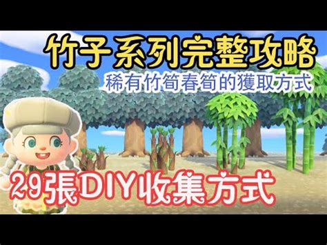 動森種竹子距離|《集合啦！动物森友会》植树造林指南 动森合理种树方法